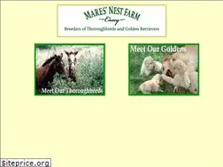 Sites similar to caseydvm.com