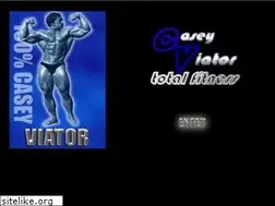 Sites similar to caseyviator.com