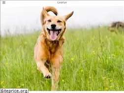 Sites similar to casfuy.com