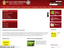 Sites similar to cashew.lk