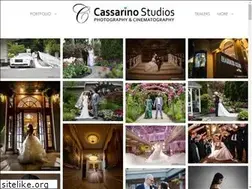 Sites similar to cassarinostudios.com