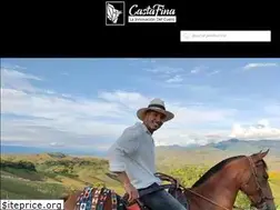 Sites similar to castafina.com.co