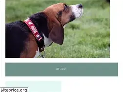 Sites similar to castawaypetrescue.org