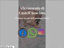 Sites similar to castellanselmo.it