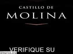 Sites similar to castillodemolina.cl