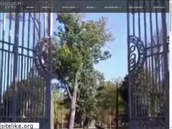 Sites similar to castletonlyons.com