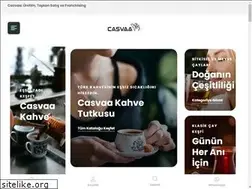 Sites similar to casvaa.com