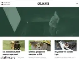 Sites similar to cat-in-web.ru