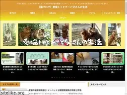 Sites similar to cat48.info