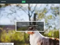 Sites similar to catalinakennels.com