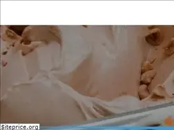 Sites similar to catamo.it