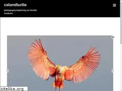 Sites similar to catandturtle.net