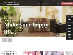 Sites similar to catchallhair.com