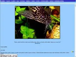 Sites similar to catfish.cz