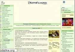 Sites similar to catgallery.ru