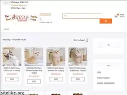 Sites similar to catgle.com