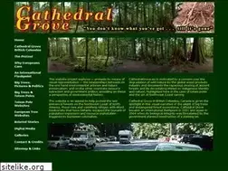 Sites similar to cathedralgrove.eu