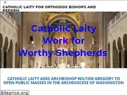 Sites similar to catholiclaity.us