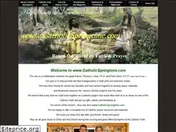 Sites similar to catholicyearoffaith.com