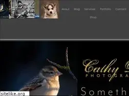 Sites similar to cathydee.com