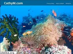 Sites similar to cathym.com