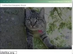 Sites similar to catinatreerescue.com