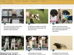 Sites similar to catiororeflexivo.com