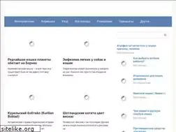 Sites similar to catkeys.ru