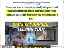 Sites similar to catlanguagebible.com