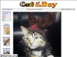 Sites similar to catoftheday.com