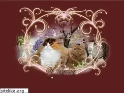Sites similar to cats-of-spring.de