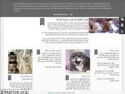 Sites similar to cats193.blogspot.com