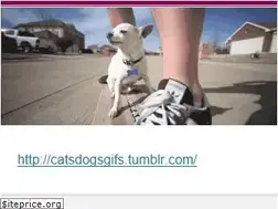 Sites similar to catsdogsblog.com
