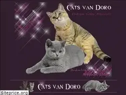 Sites similar to catsvandoro.pl