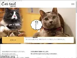 Sites similar to cattail.jp