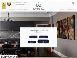 Sites similar to cattaleya.cz