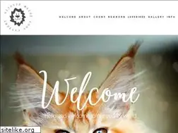 Sites similar to catterynijoyja.nl