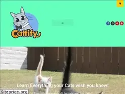 Sites similar to cattify.net