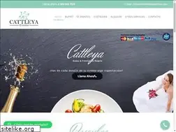 Sites similar to cattleyaeventos.com