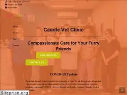 Sites similar to caudlevetclinic.com