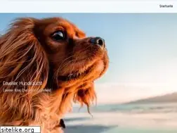 Sites similar to cavalier-king-charles-spaniel.ch