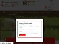 Sites similar to cavaliercorral.com