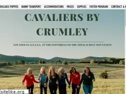 Sites similar to cavaliersbycrumley.com