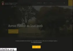 Sites similar to cavalo-lusitano.com