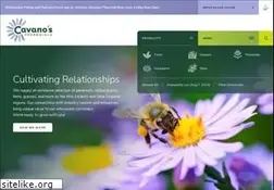 Sites similar to cavanos.com