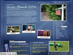 Sites similar to caviarshelties.com