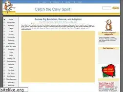 Sites similar to cavyspirit.com