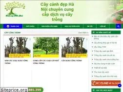Sites similar to caybongmat.com.vn
