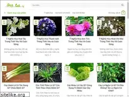 Sites similar to caycanhdetrong.com