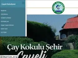 Sites similar to cayeli.bel.tr